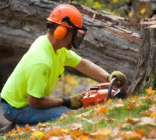 tree services Leadwood